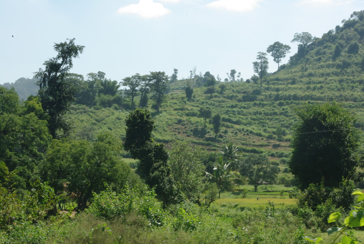 Jawadhu Hills